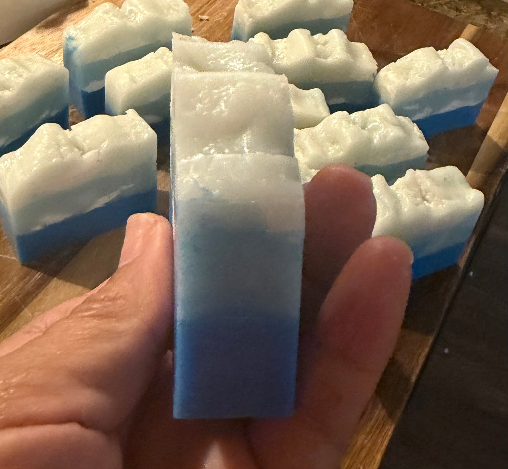 Recovery Soap